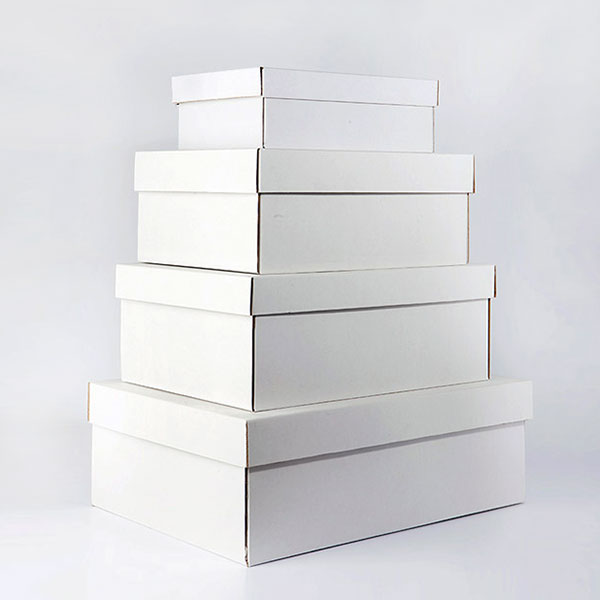 Caja de Zapatos Blanca SB1 - Cartonatges El Tigre